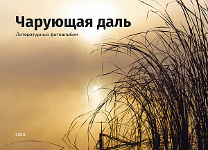 Фотоальбом «Чарующая даль» Обложка книги Болотное.jpg