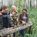 Волонтёры заказника обследуют угодья