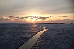 дедушка дегтярев